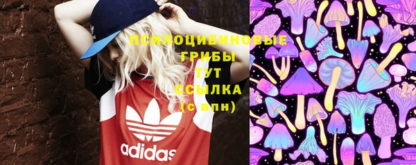 прущая мука Магас